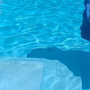 Meet your Posher, Samia